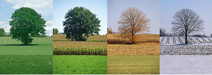 曝343正开发一个未公布游戏 可能是《光环》新作