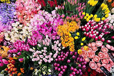 《碧海黑帆》发布第一赛季“怒潮”宣传片 现已正式推出